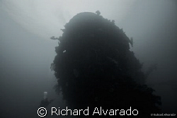 Bow of the Shinkoku Maru with dive buddy.  Ship sunk by A... by Richard Alvarado 